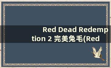 Red Dead Redemption 2 完美兔毛(Red Dead Redemption 2 完美兔毛)